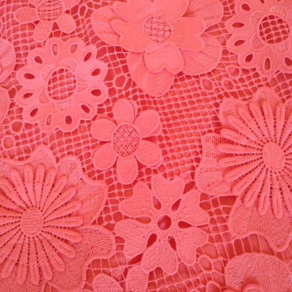 NWT! J.Marie Dress ONLY $59! Retail $168! Seraphina Floral 3D Lace Sz XS - Picture 5 of 8